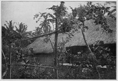 Jules Agostini's 1896 photograph of Gauguin's house in Punaauia